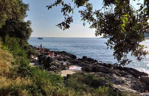 Levak Apartments - Apt.3 - Photo 8