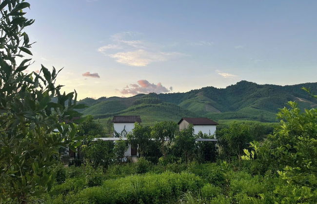 Nguyen Shack Retreat - Foto 70