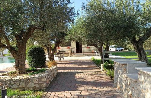 Residenza Nosy Be - Foto 24