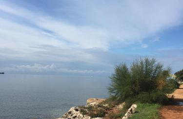 Villa Eva Karigador - Photo 63