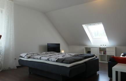 guest apartment niederalfingen - Foto 15