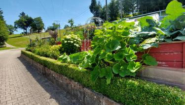 Ferienwohnung Siggi - Photo 5, Garden