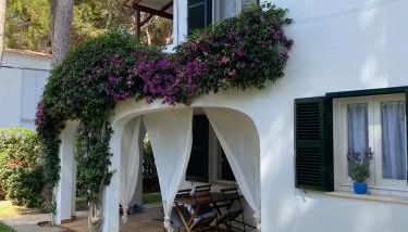 Bellver 1, Ciutadella-Cala Blanca - Foto 3, Garden