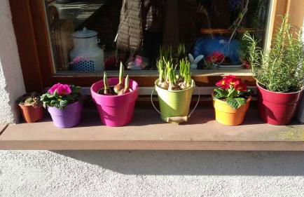 Galerie Ueber den Gaerten - Foto 32