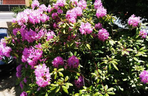 Ferienwohnung Brigitte - Photo 8