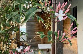 Aegean Sunset - Foto 11