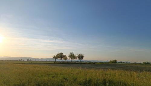 Le Studio D'Edouard - Photo 3