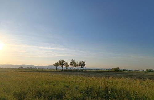 Le Studio D'Edouard - Foto 3