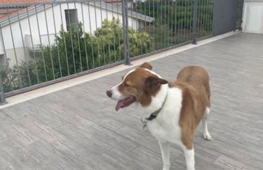 L'Orto di MiLa - Foto 30