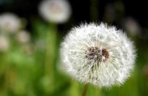 Ferienwohnung in Wildemann - Foto 24