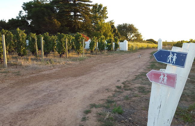 Eikendal Lodge - Photo 38