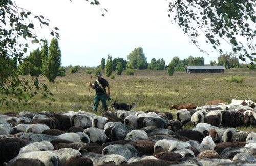 Ferienhaus in der Lüneburger Heide - Foto 14