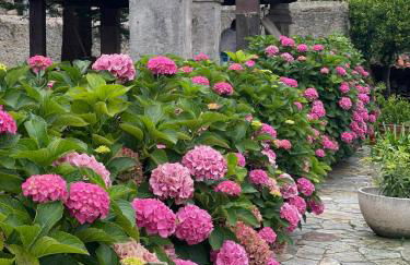 La Solana de Mogro - Foto 74