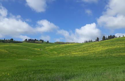 La Casa nel Borgo - Foto 47
