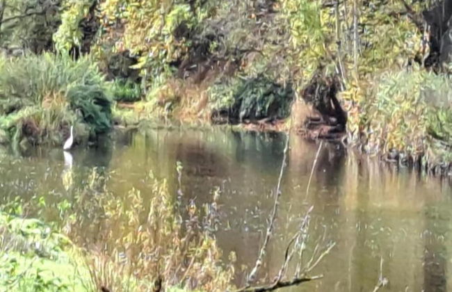 Family Villa Near Forest - Photo 25