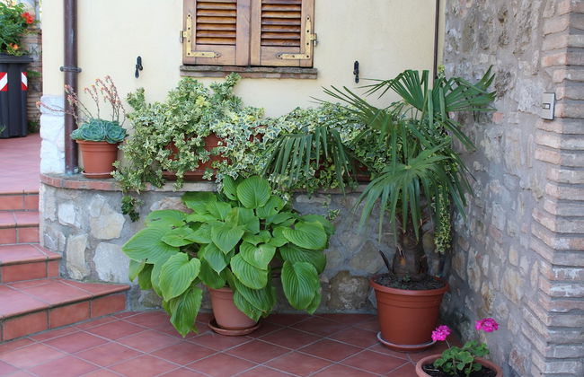 Borgo San Savino - Foto 30
