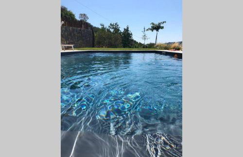 Laserrafelice - Photo 16