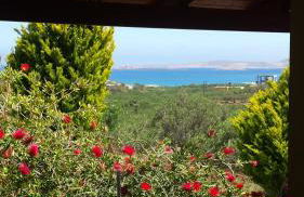 Galini Apartments - Photo 15