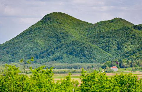 Vineyard Home 14 by GREEN Croatia - Foto 19