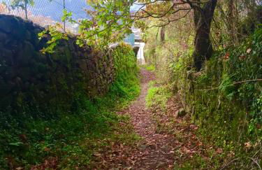 Quinta da Aranha - Foto 54