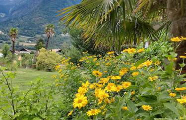 Apartment Sonne auf Bio-Hof - Photo 20