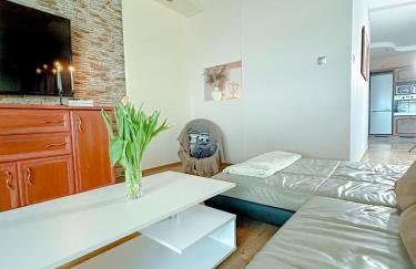 Dom nad potokiem Opawa, na wyłączność, Karpacz, Opawa - Foto 22