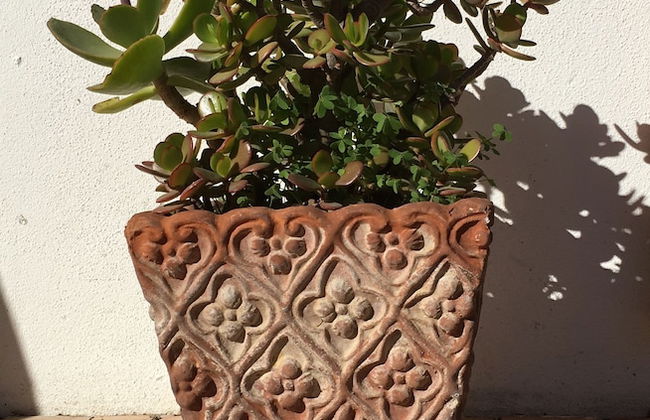 Cavalli di S'Arcaite - Foto 44