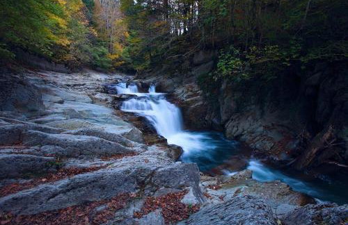 Alojamientos Rurales Apezarena - Foto 36