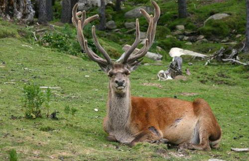 LES FONTANILLES odeillo chalet 60 WIFI & PARKING gratuit exposé plein sud & plein pied , draps & serviettes de toilettes non inclus, sabanas y toallas no incluidos - Foto 32