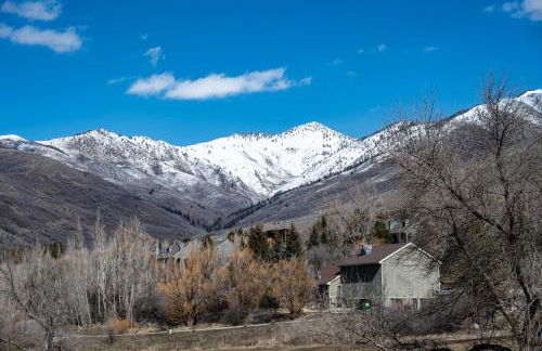 Sigi's Longhorn Lodge WL1409 Gym Ski Powder Mtn - Photo 61