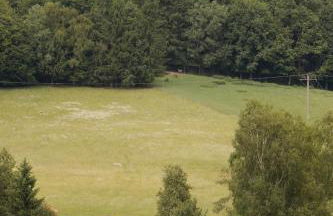 Idyllisch gelegene Ferienwohnung Xaver im Herzen des bayerischen Waldes - Foto 21