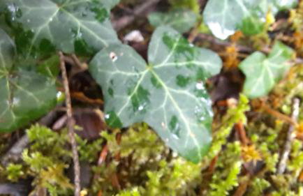 Wood Cabins by the River - for Nature Lovers - Photo 68