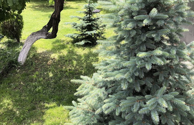 Villa in Nork - Foto 38