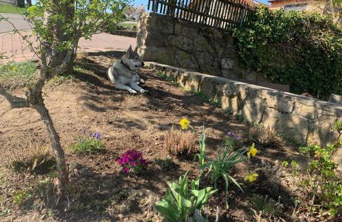 Landhaus Lehhof - Foto 46