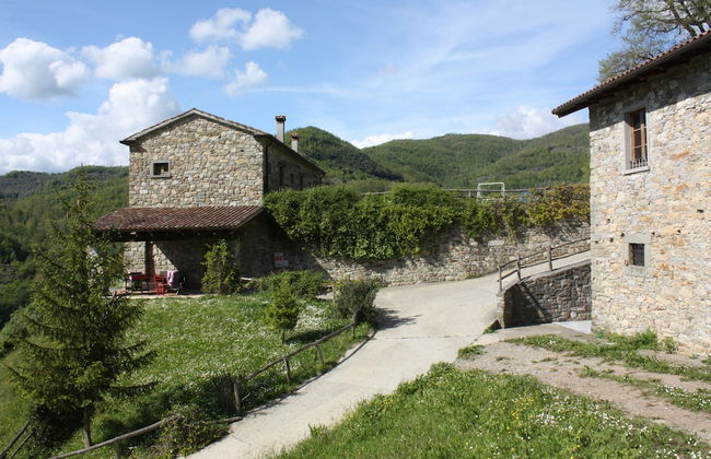 Le Chianine dei Tognoli - Foto 27