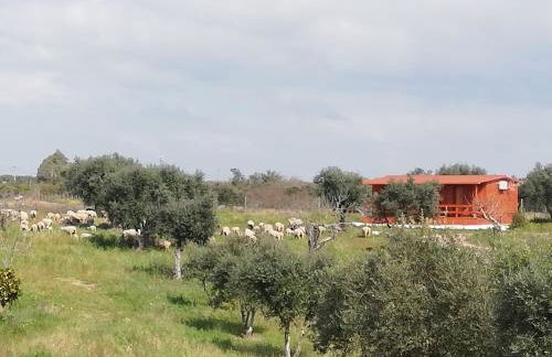 Burrico D`Orada - Rural Stays & Wine Country Tours - Foto 50