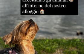 Ponte Milvio Suite & Parking- La Chambre de Sophie - Foto 4