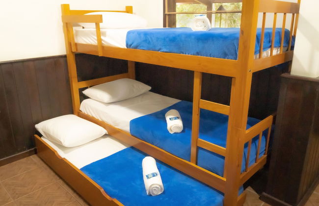 Green Area House - Foto 3