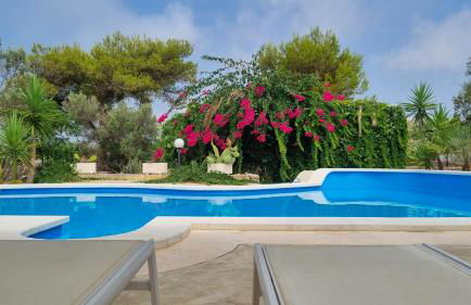 Marcheddu OFF - Foto 1