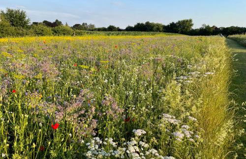 Radwandern und die Natur genießen - Foto 1