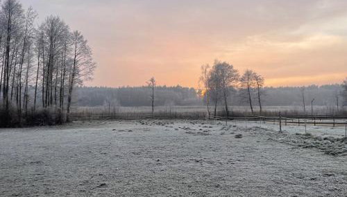 Sercem i Kopytem - Foto 4