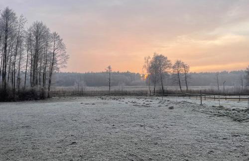 Sercem i Kopytem - Foto 4