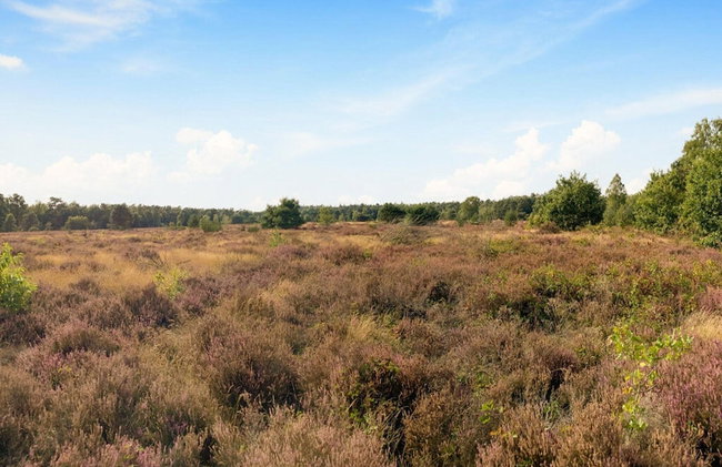 Holiday Home in Voorthuizen Near Veluwe Park - Foto 29