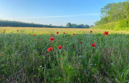 The Old Mill Cottage - Foto 29