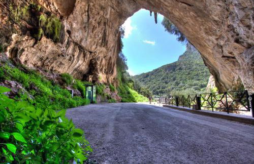 Casa Vacanza il Mandorlo - Foto 7