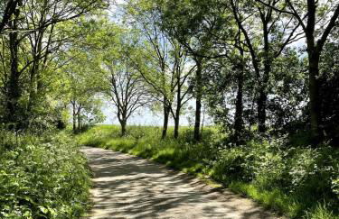 The Old Piggery - tranquil garden guest cottage - Foto 27