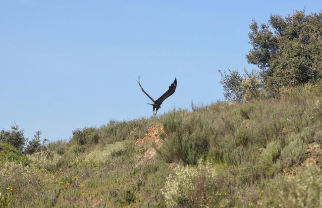 Casas Rurales Aldeaduero - Foto 54