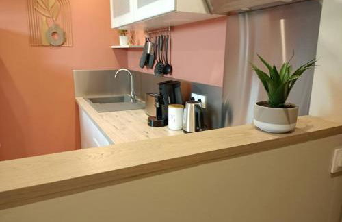 L’Oasis…Appt Balnéo-Terrasse. - Foto 13