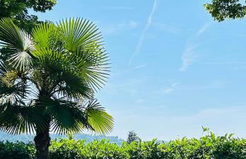 Monferrato Country House Basin dAmor Casa di campagna - Photo 54