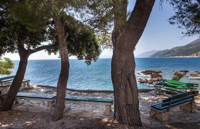 Apartments Villa Dingac - Borak - Photo 77